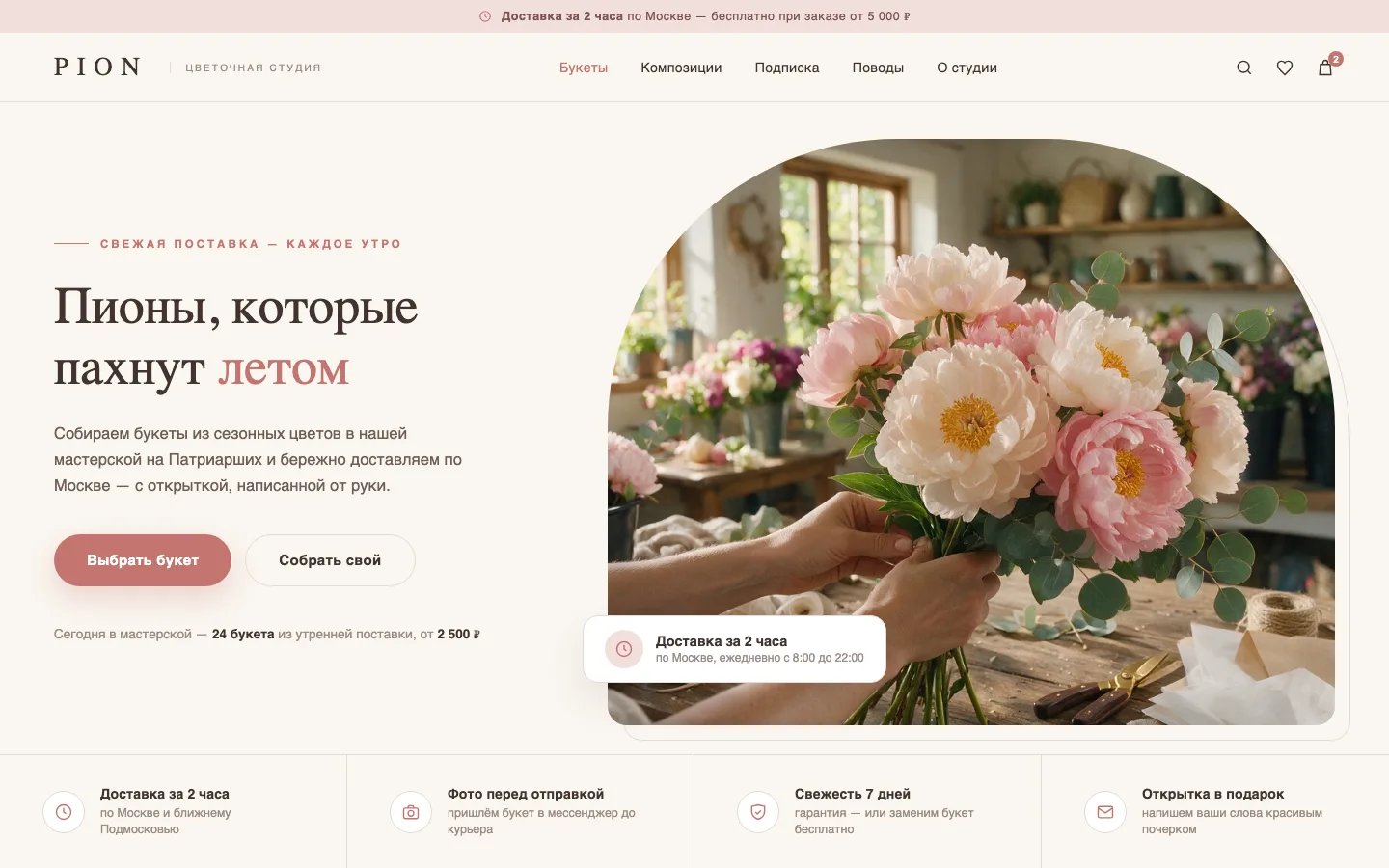 PION — главная страница магазина