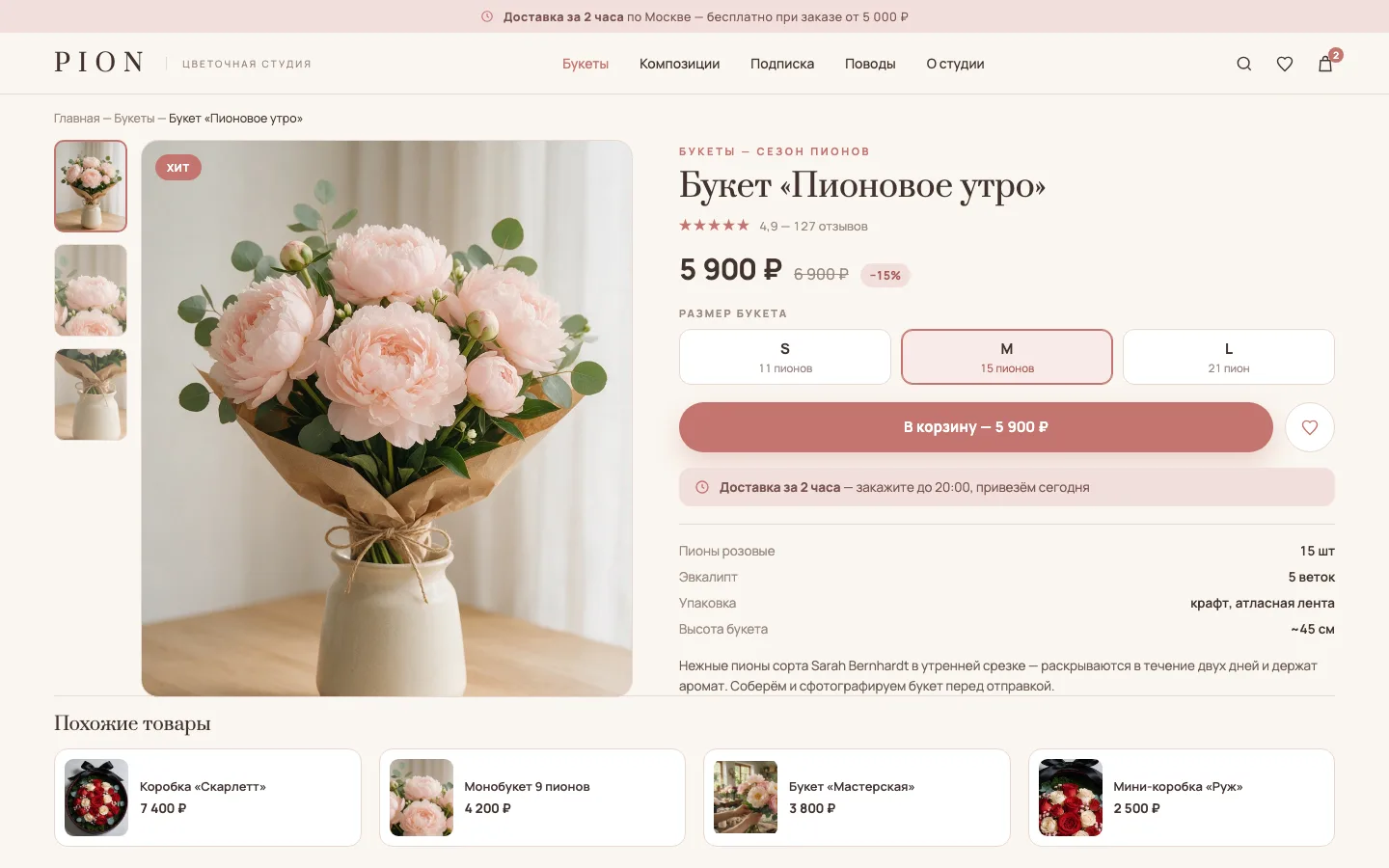 PION — карточка товара